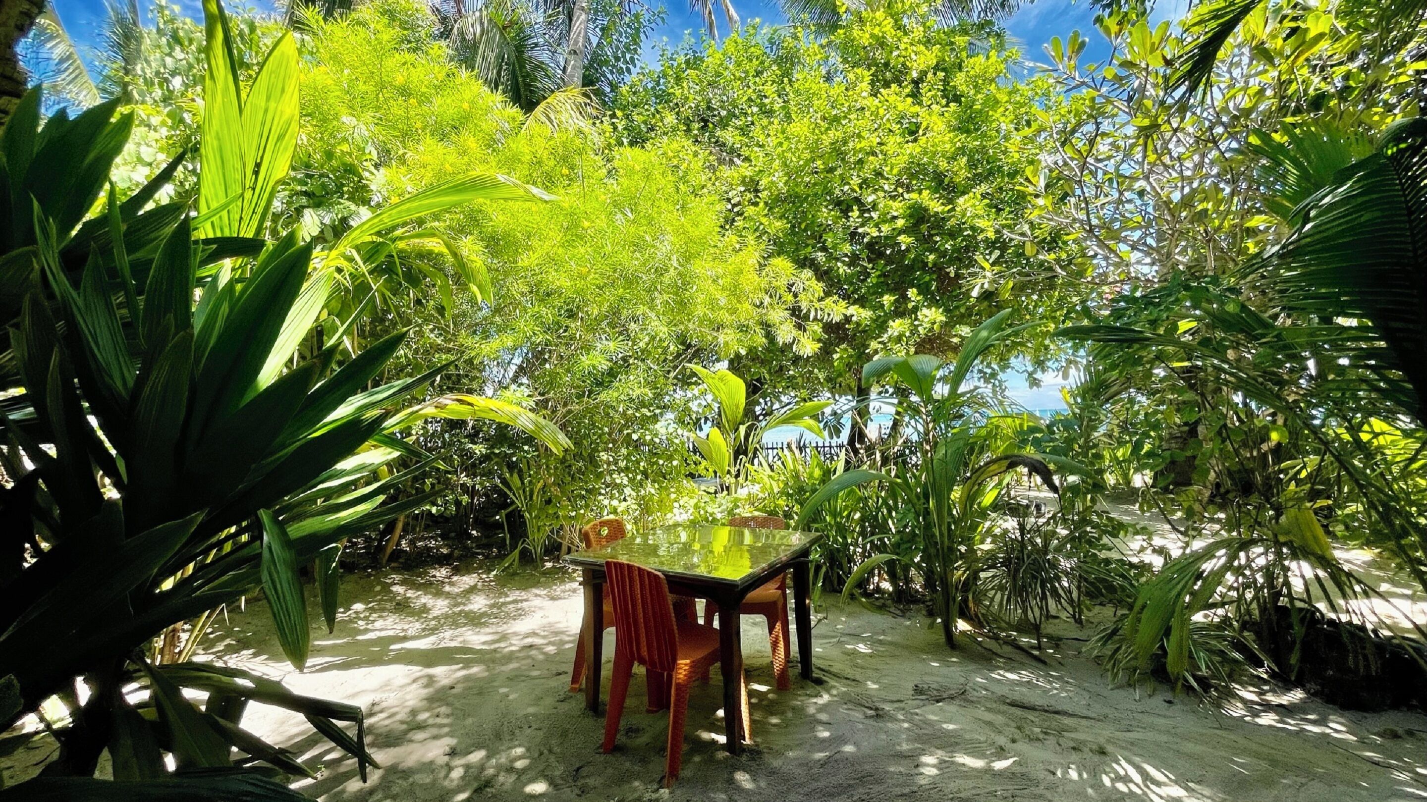 A table and chairs set on a sandy surface surrounded by lush greenery.