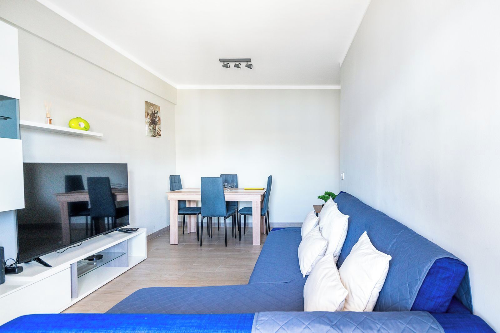 A compact living space with a sofa, a TV, a dining table with chairs, and a small plant.