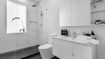 Shower, hair dryer, towels, soap