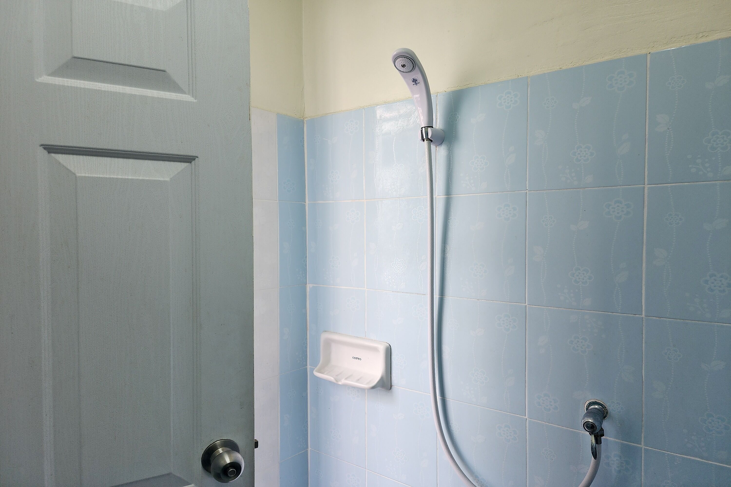A bathroom with a shower, a door, and a soap dish.
