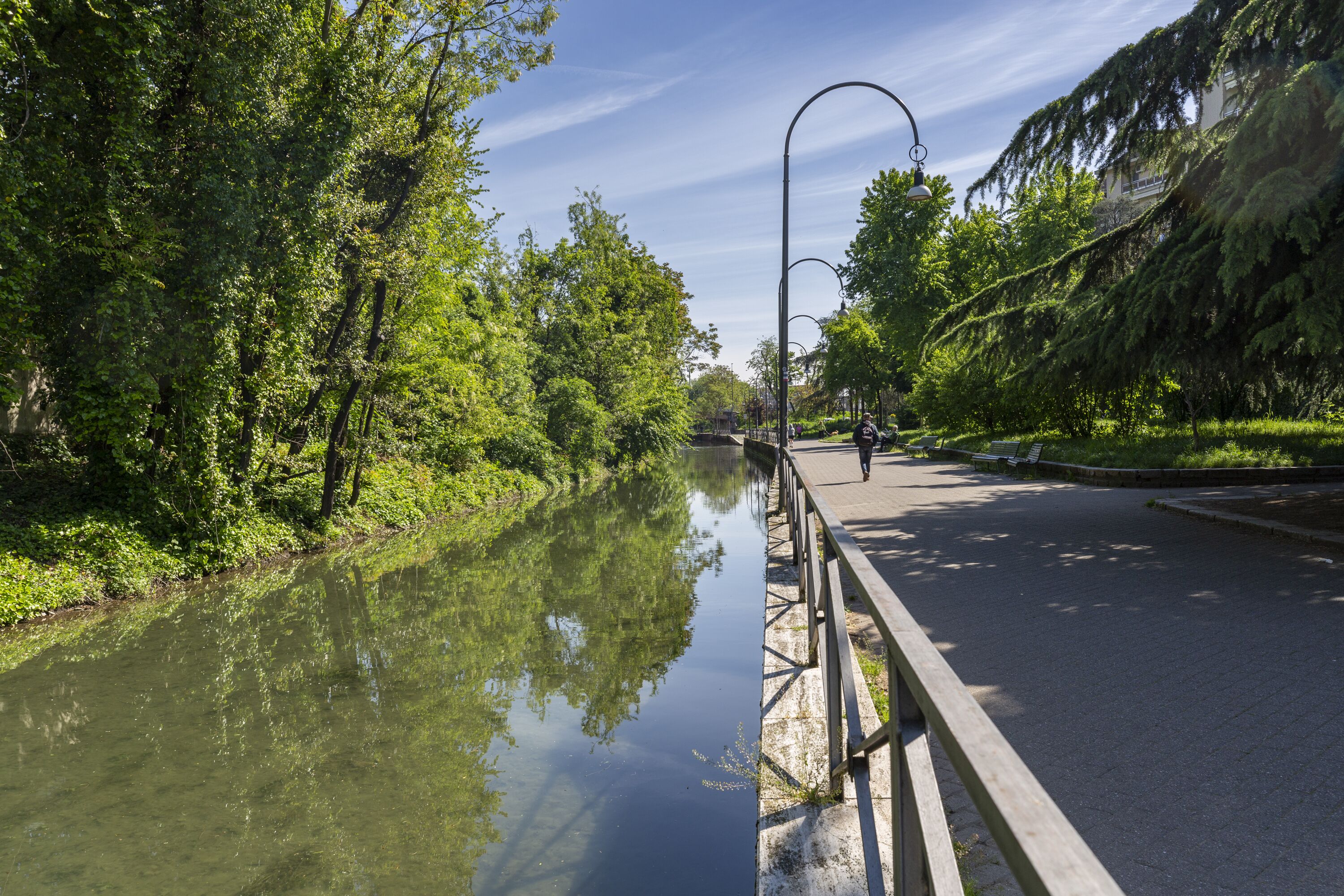 A riverside walkway with a metal railing, trees, and a clear sky.