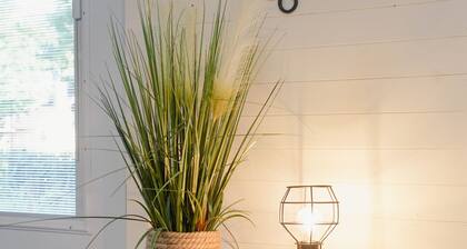 3 blocks from downtown, Pet Friendly. Natural Grocers, Awesome Shower