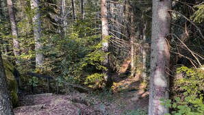 Uklassifisert bilde, 5 av 14, knapp