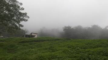 Tente Familiale | Terrasse/Patio