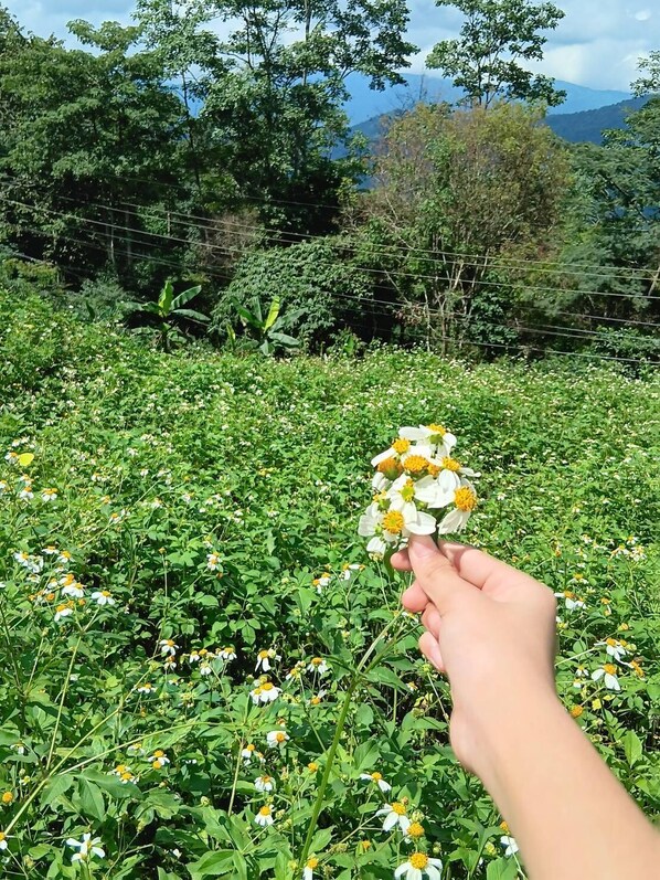 เต็นท์สำหรับครอบครัว | ลานระเบียง/นอกชาน