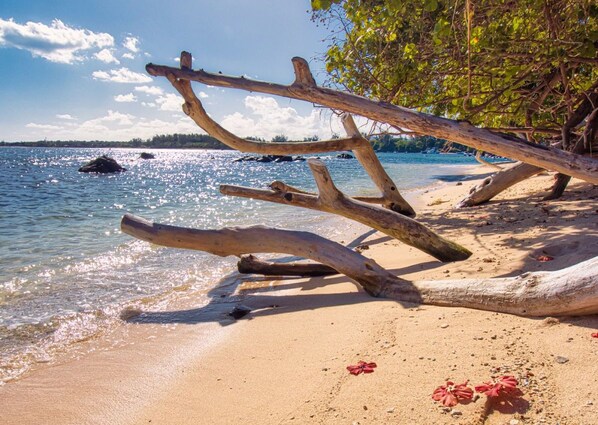 Sun loungers, beach towels