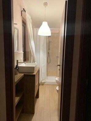 Shower, hair dryer, bidet, towels