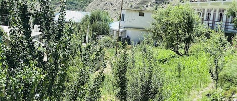 Standard Double Room | Mountain view