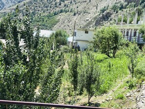 Standard Double Room | Mountain view