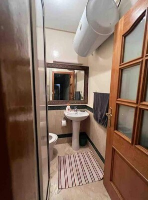 Shower, towels, toilet paper