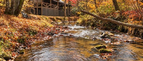 Enjoy the best of the outdoors with hiking, fishing, horseback riding, and a peaceful creek just a few yards from the cabin