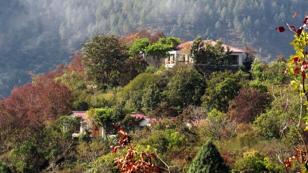 A mountainous landscape with a house surrounded by dense forest. - Auranya - The Himalayan jungle retreat  (Choubattakhal)