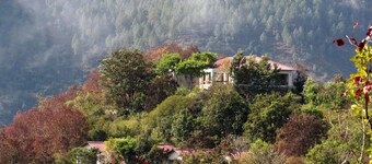 Auranya Hotel And Resort