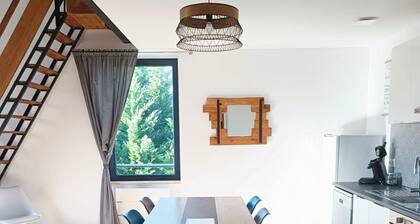 Appartement duplex dans une ancienne usine