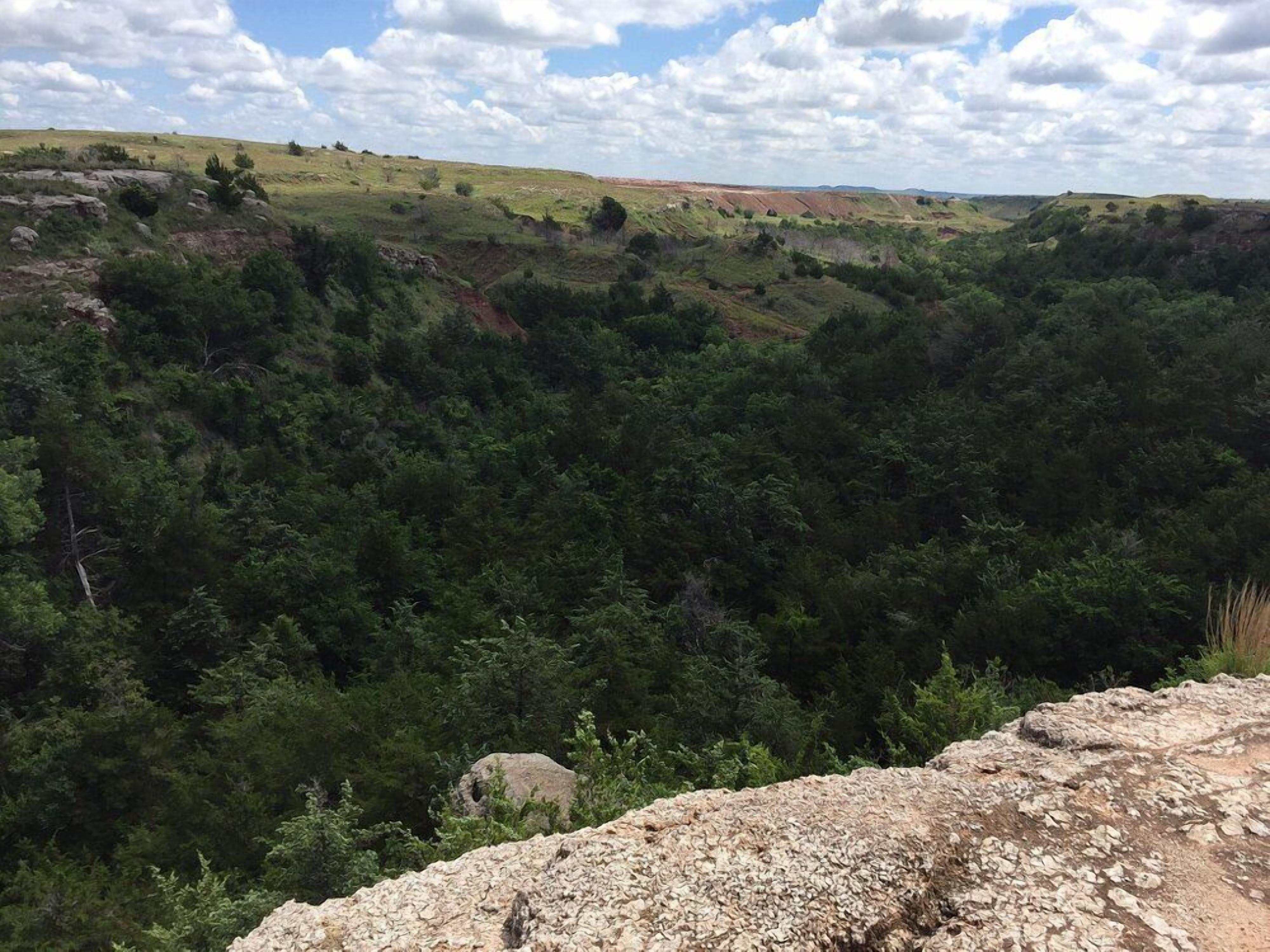 Un paisaje natural con primer plano rocoso y bosque denso.