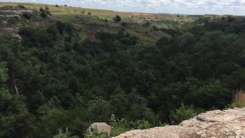 Un paisaje natural con primer plano rocoso y bosque denso.