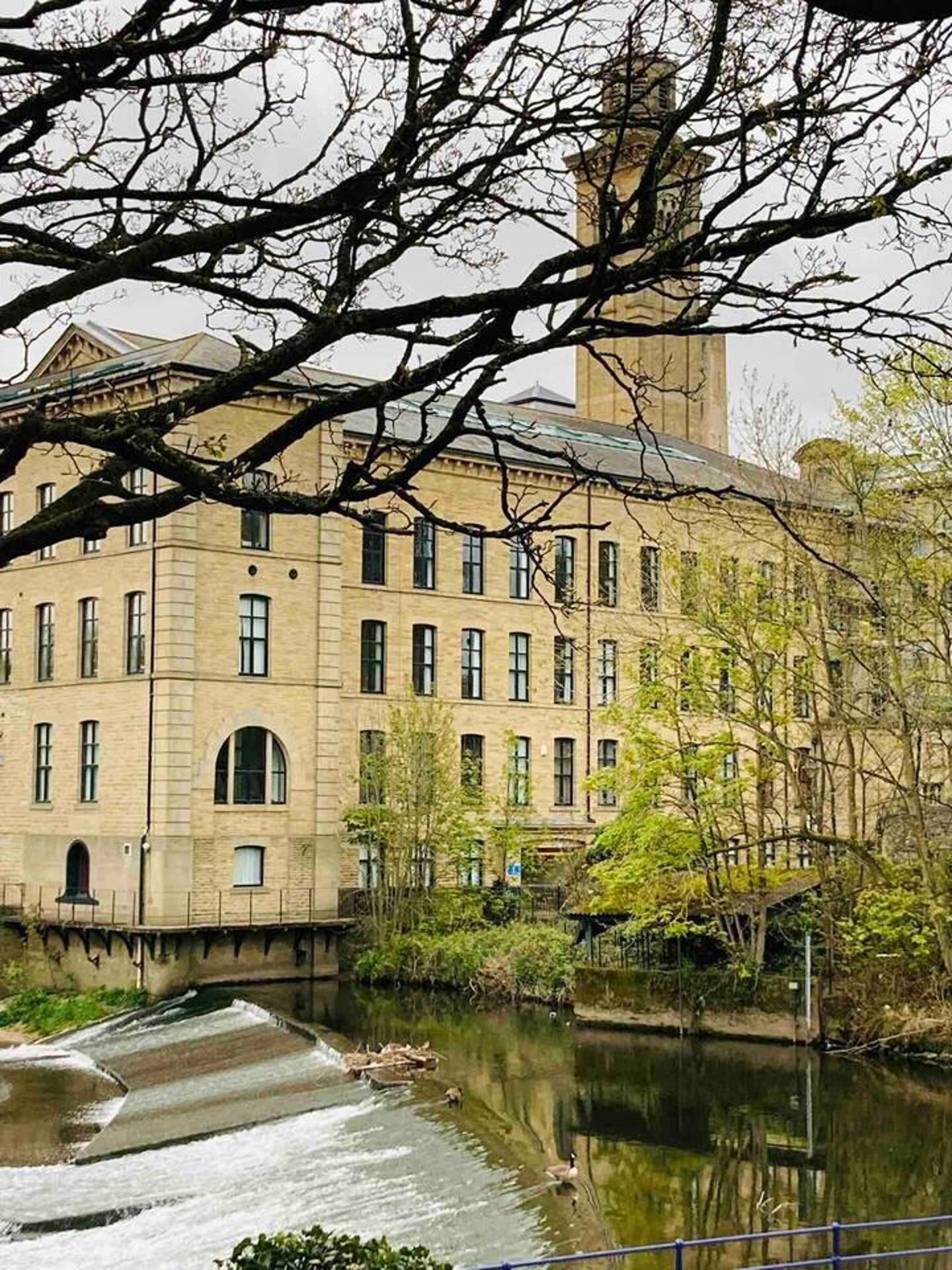 A large, historic building with multiple windows and a central tower, surrounded by a calm water feature and lush greenery.