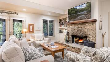 Smart TV, fireplace, books