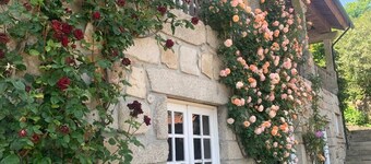 House of the three boys