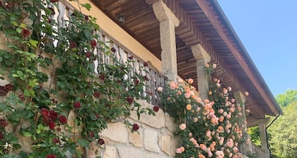 House of the three boys