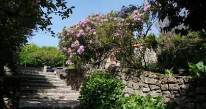 House of the three boys