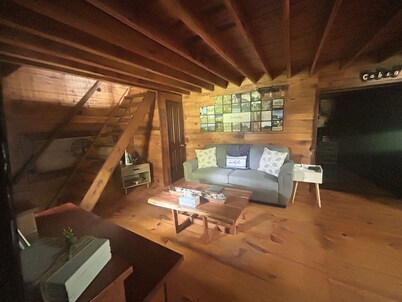 Cabin on the Lake Getaway Right off Green River Lake!!!
