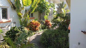 A narrow pathway flanked by lush tropical plants and a white building with a window and a door. - Direct Oceanfront Beach Villa - Unit #1 (Cocoa Beach)