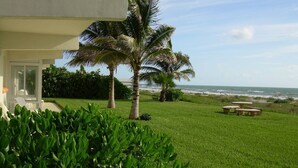 A well-maintained lawn with a palm tree and a view of the ocean. - Direct Oceanfront Beach Villa - Unit #1 (Cocoa Beach)