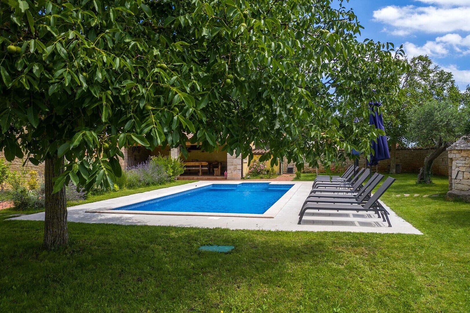 A rectangular swimming pool with a tiled deck, surrounded by a grassy lawn and a tree with dense foliage.