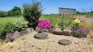 Ein kiesbedeckter Gartenbereich mit Steinen, blühenden Pflanzen und einem Gebäude im Hintergrund.