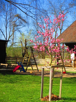 Zona infantil