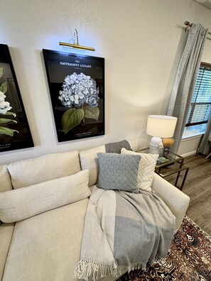 Smart-TV, Kamin, Bücher