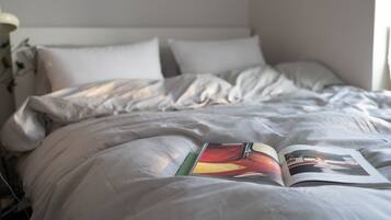 1 slaapkamer, een strijkplank/strijkijzer, wifi