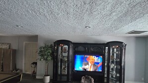 A living room with a television, a decorative cabinet, a potted plant, and a patterned rug.