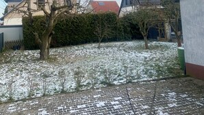 A residential area with houses, a tree, and a snow-covered ground.