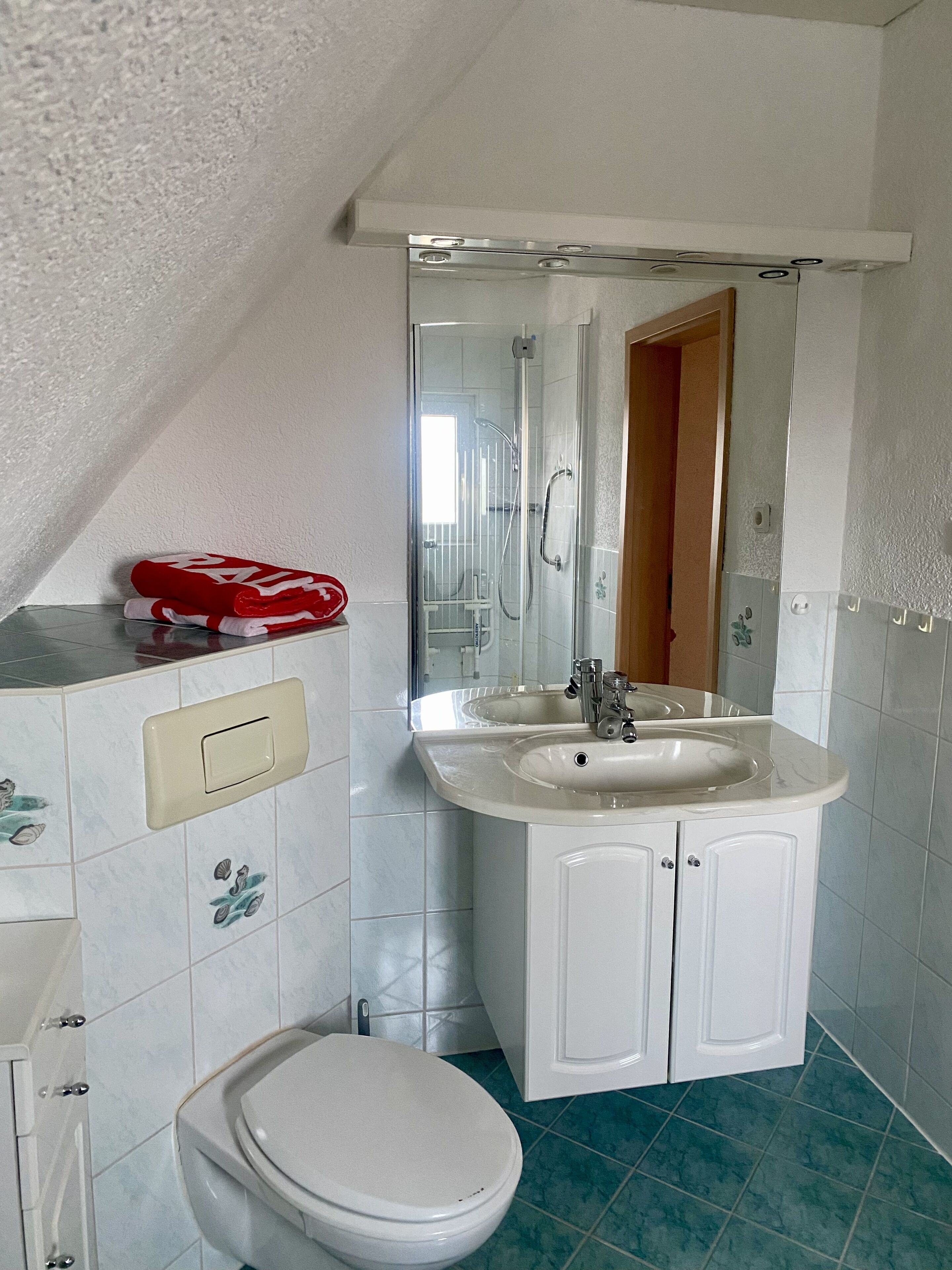 シャワー、石鹸、トイレットペーパー