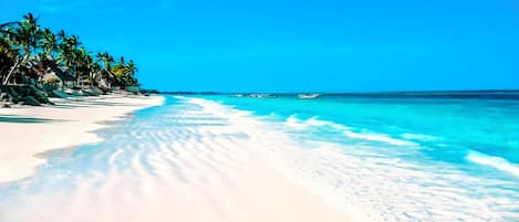 Beach/ocean view