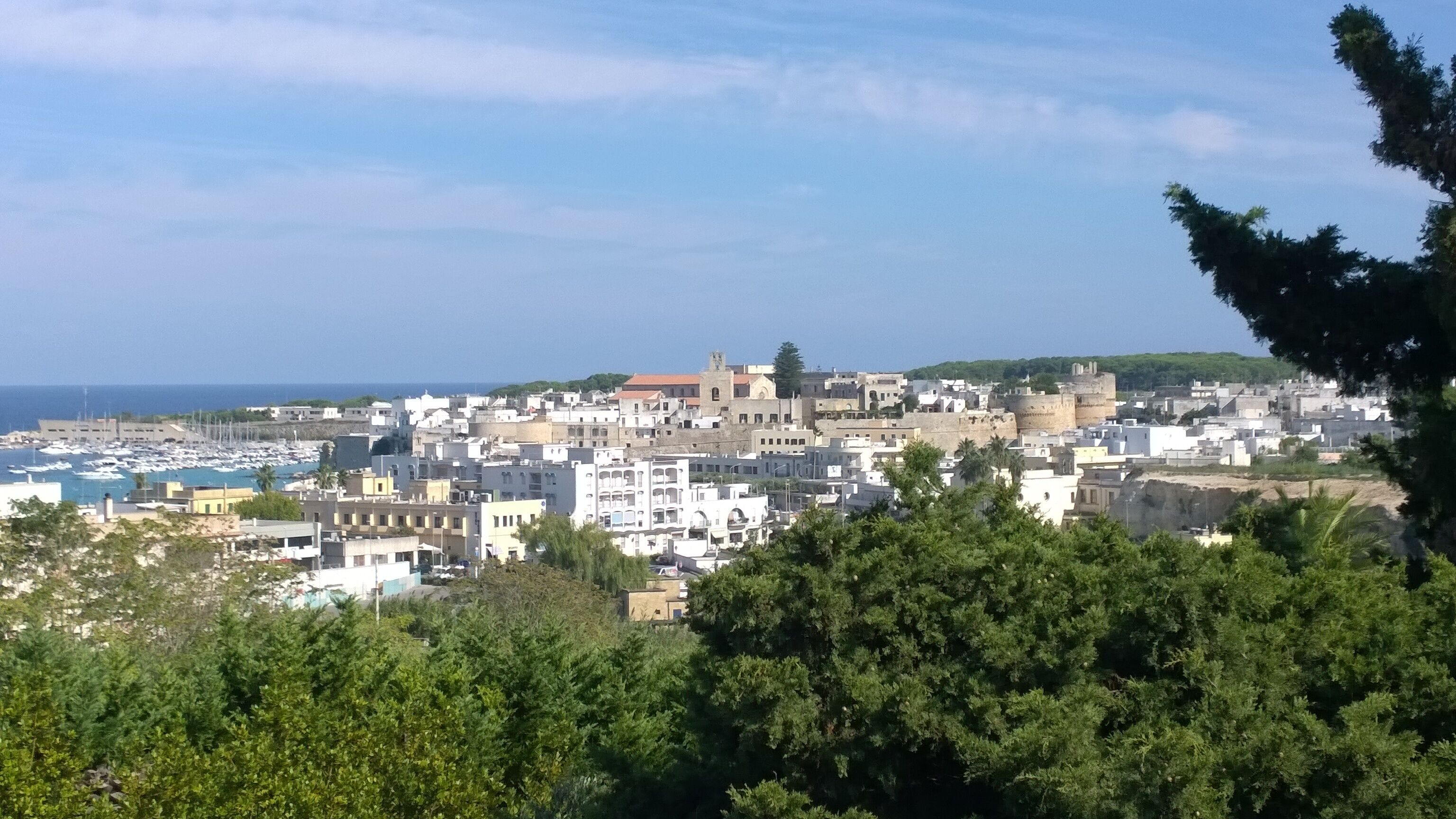 Foto - Tenuta Belvedere