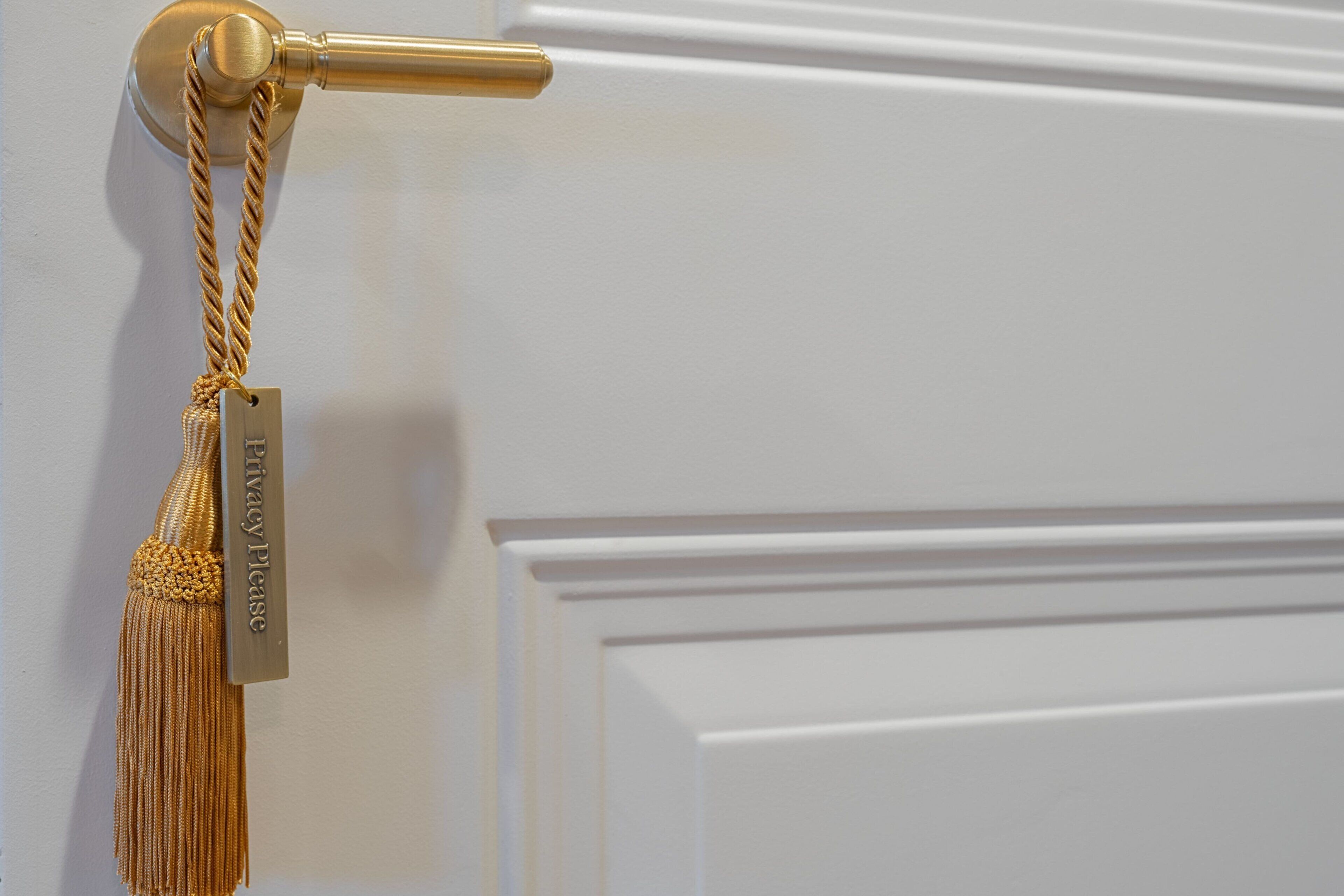 A door with a brass handle and a golden tassel.