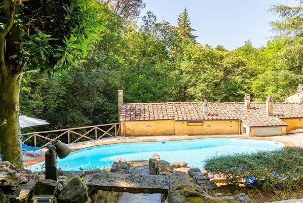 Seasonal outdoor pool, pool umbrellas, pool loungers