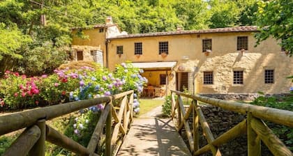 Molin Barletta, Private Pool, Nature