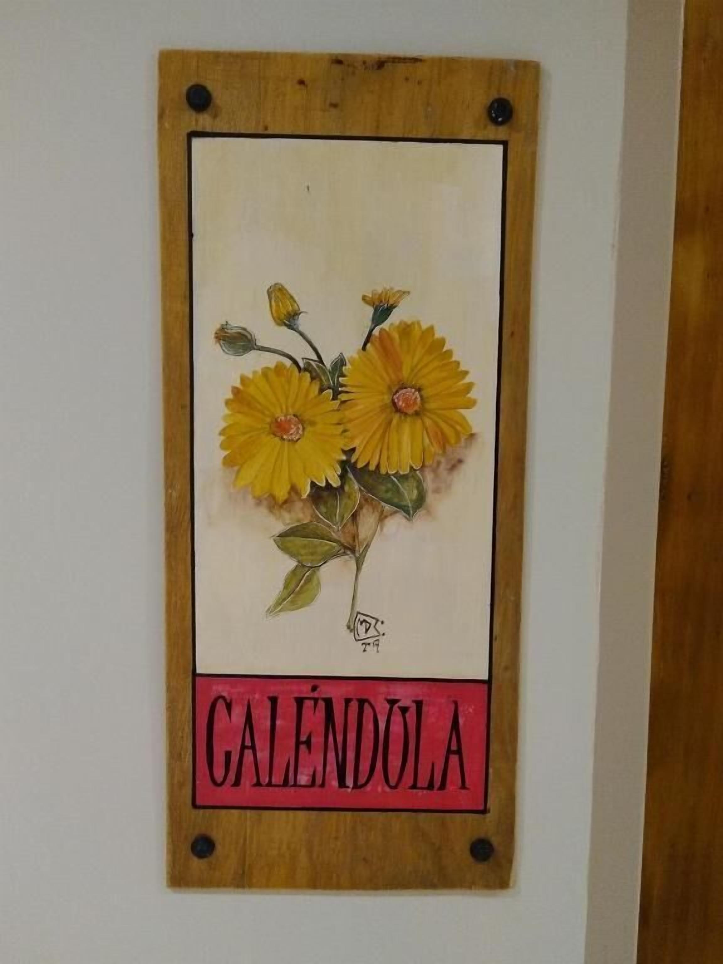 Foto - Hosteria El Korú