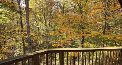 Secluded Cozy Cabin - Hot Tub, Fire Pit, Fireplace