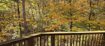 Secluded Cozy Cabin - Hot Tub, Fire Pit, Fireplace