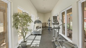 A gym with cardio machines, a stationary bike, and a treadmill. There is a potted plant and a window with blinds.
