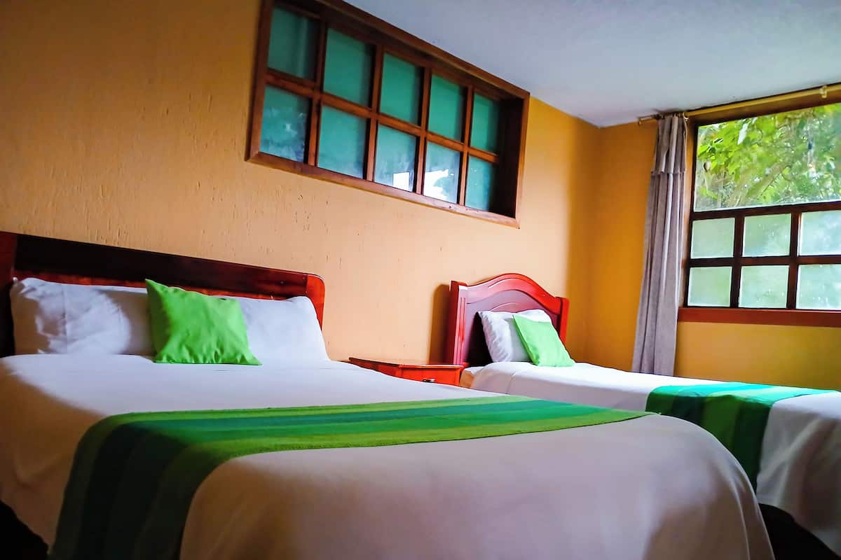 Une chambre d’hôtel avec deux lits, chacun doté d’une tête de lit en bois et d’une couvre-lit verte. Une fenêtre offre une vue sur la verdure environnante.