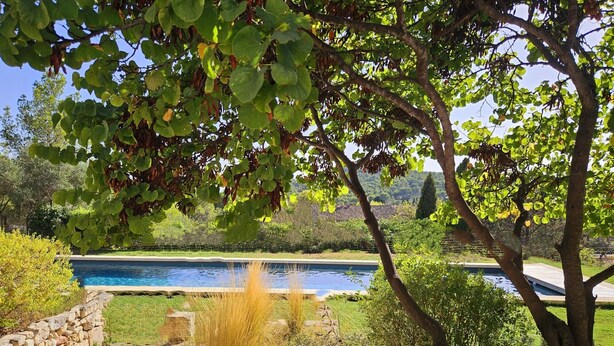A swimming pool surrounded by lush greenery and stone pathways.