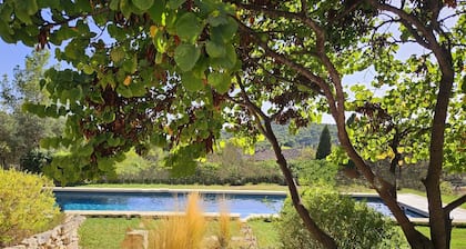 Superbe Mas de 1781 au Coeur des Alpilles, vue sur le Chateau, Luxe & Calme