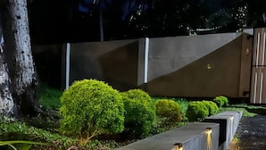 Deluxe Villa | Pemandangan taman
