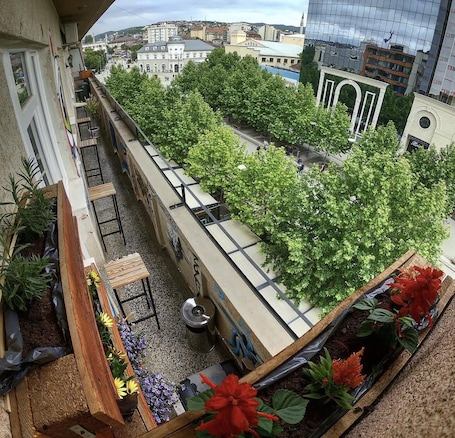 Garden. Urban Cozy Retreat